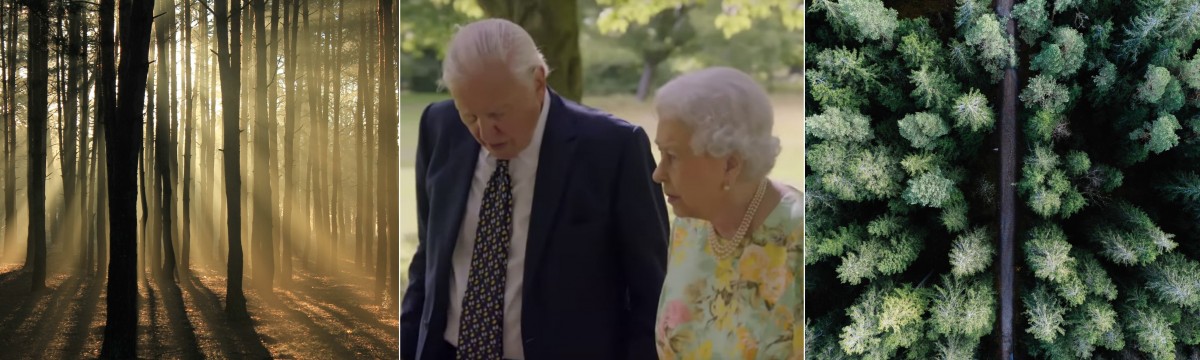 David Attenborough dokumentumfilmet készített Erzsébet királynő projektjéről