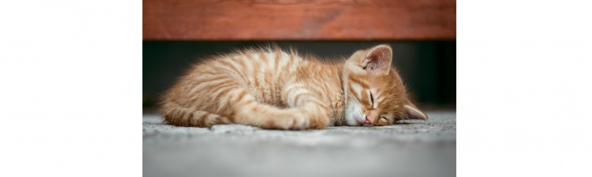 A földön alvás tényleg jó a hátfájásra?