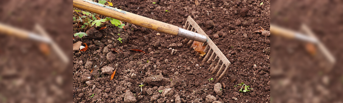 Gereblye, a kertgondozás elengedhetetlen eszköze